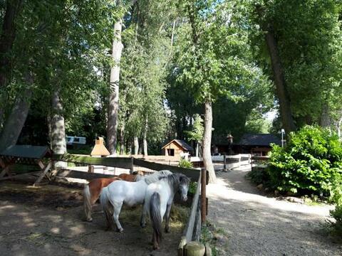 Jezdecká školička Pony Park Měšice